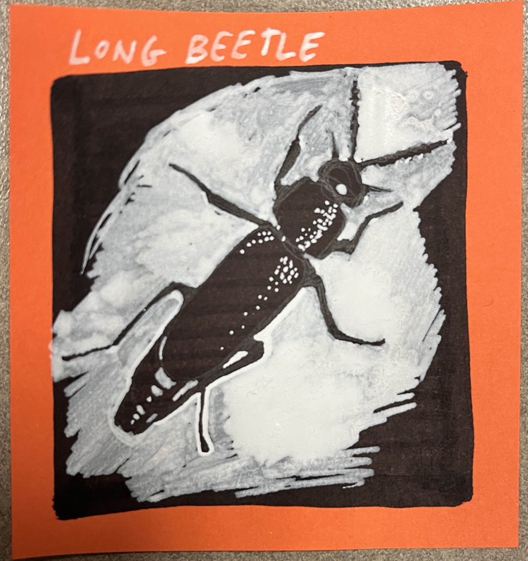 A drawing of a long beetle, white ink on a black marker field on an orange sticky note.