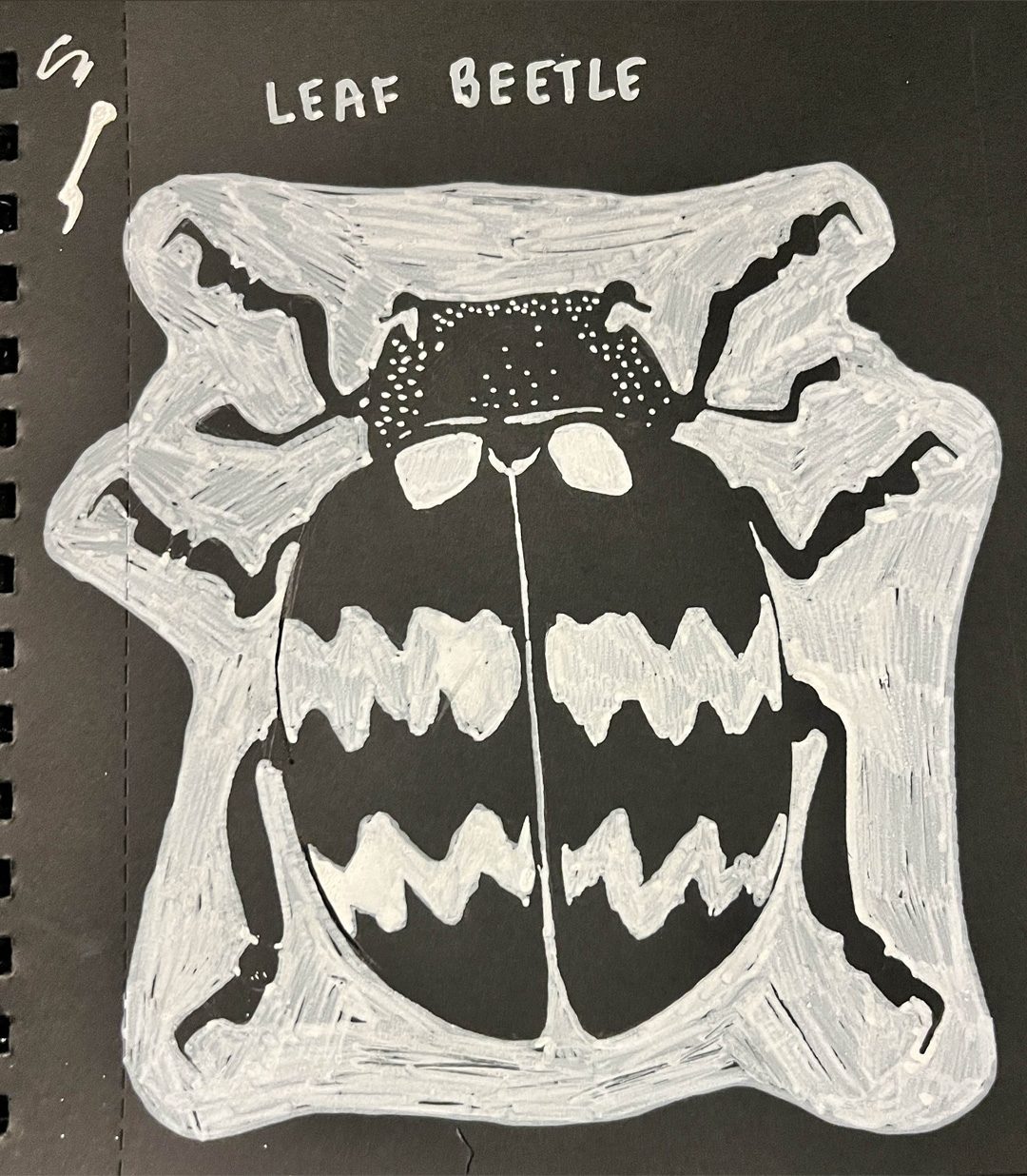 Drawing of a leaf beetle, white ink on black paper.