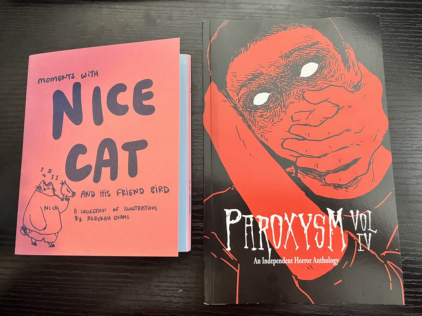 Two zines on a table, the one on the left is a pink illustration zine called Nice Cat and the one on the right is a horror zine called Paroxysm.